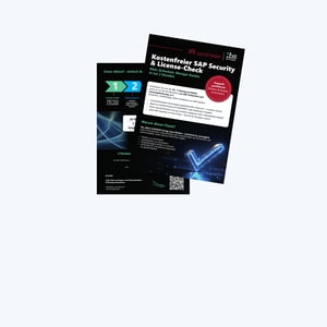 Kostenfreier SAP Security- & License Check